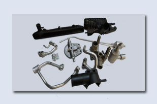 social-resposibility